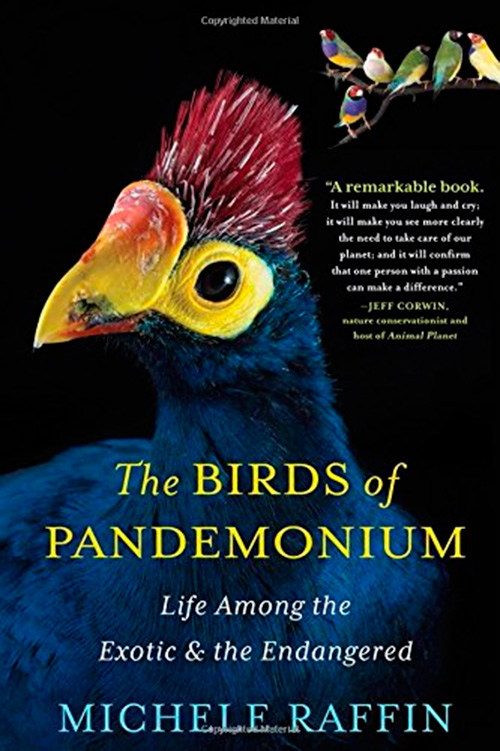 The Birds of Pandemonium