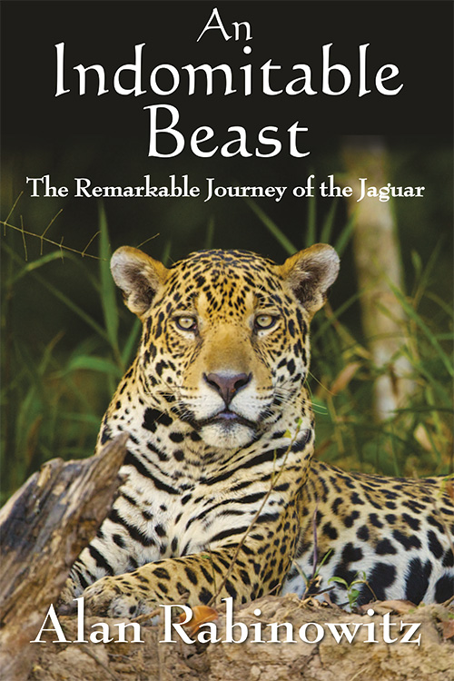 An Indomitable Beast: The Remarkable Journey of the Jaguar