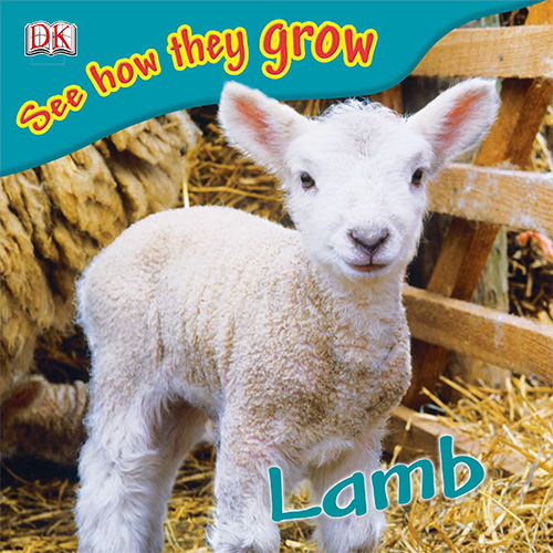 Lamb (See How They Grow)