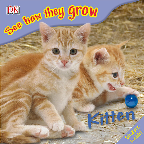 Kitten (See How They Grow)