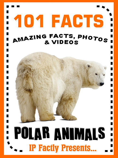 101 Facts... Polar Animals! Polar Animal Books for Kids