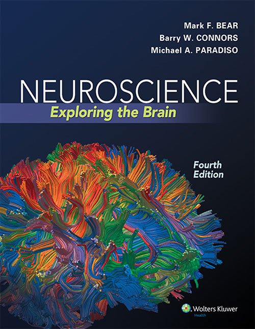 Neuroscience: Exploring the Brain, 4th edition
