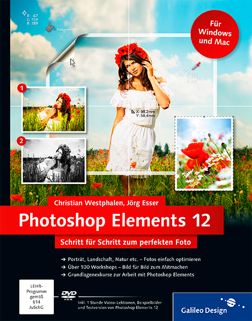 Photoshop Elements 12: Schritt für Schritt zum perfekten Foto