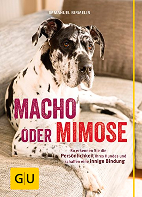 Macho oder Mimose: So erkennen Sie die Persönlichkeit Ihres Hundes und schaffen eine innige Bindung